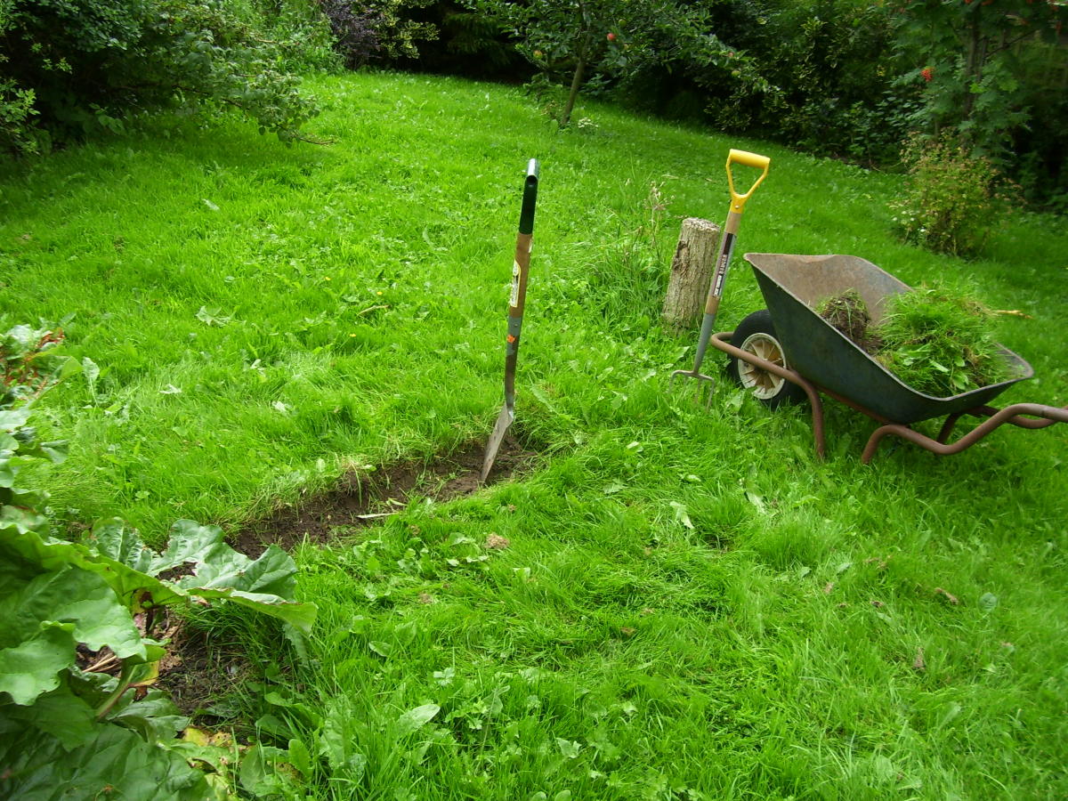 Beginning to dig a frog pond.