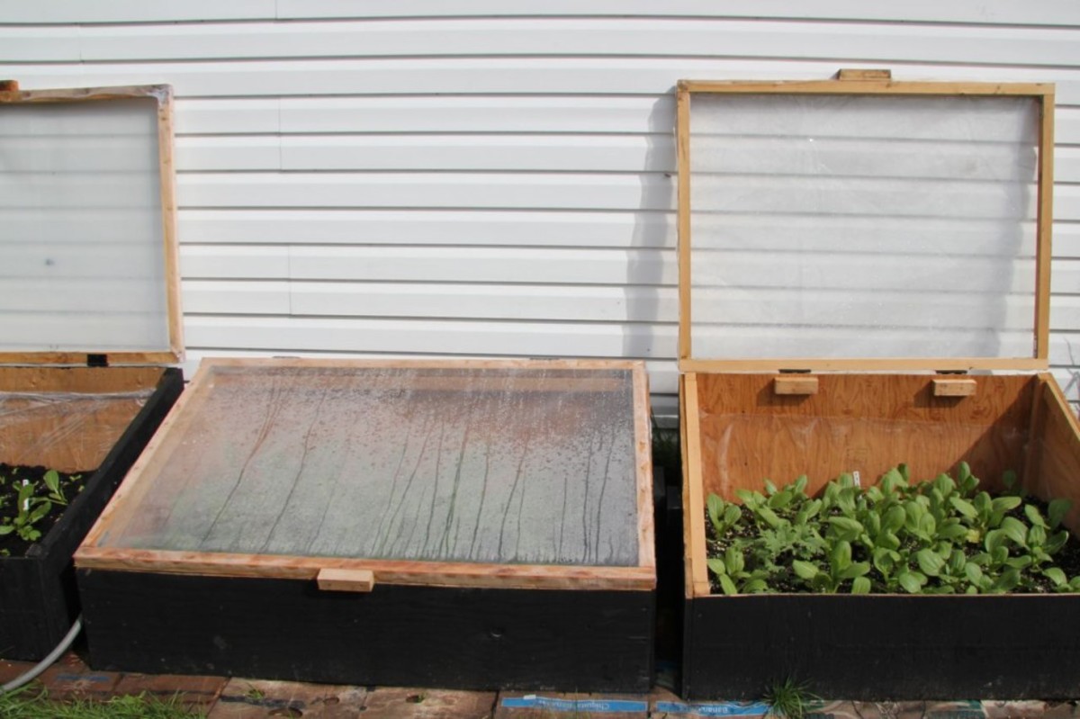 Completed cold frame