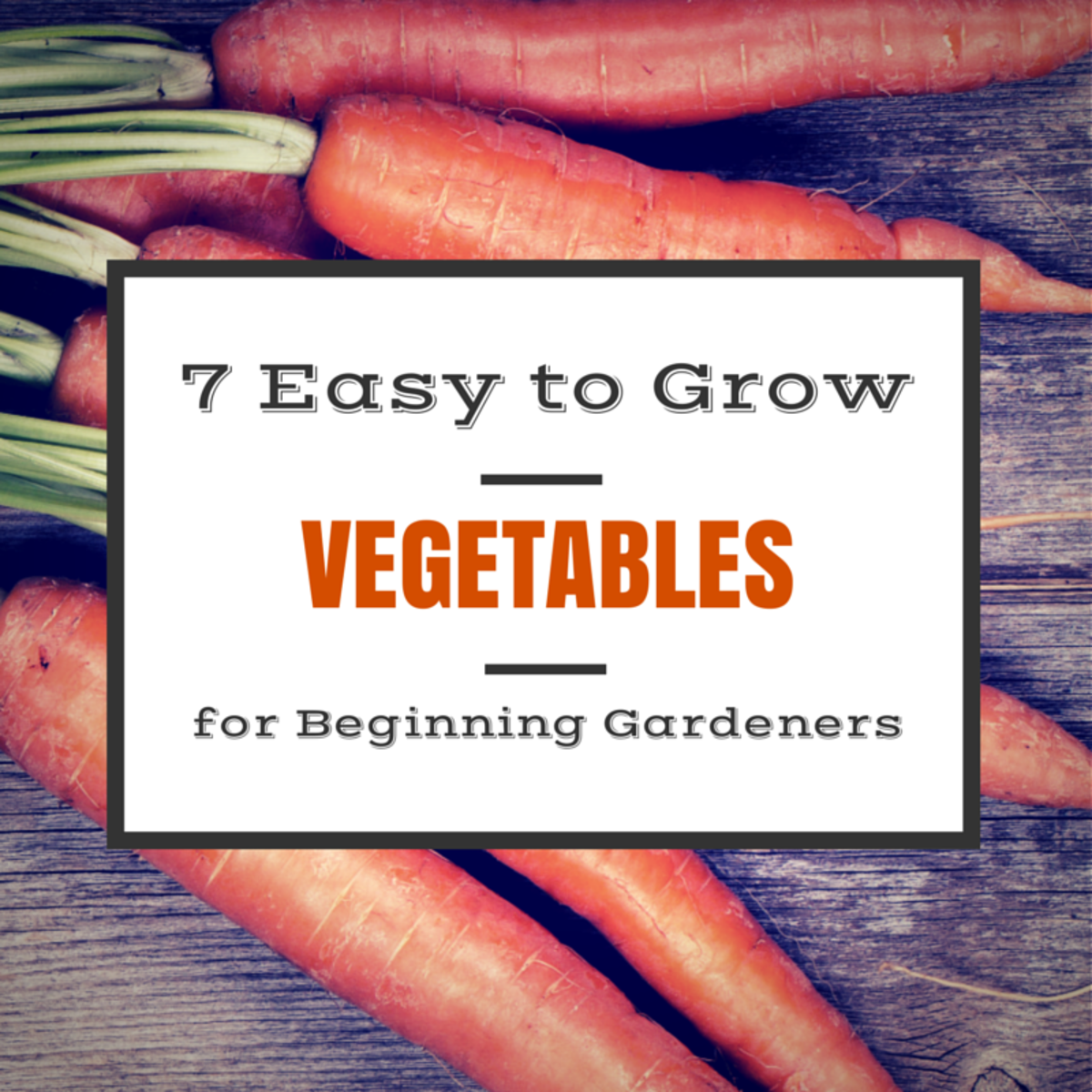 best-vegetables-for-the-wanna-be-gardener