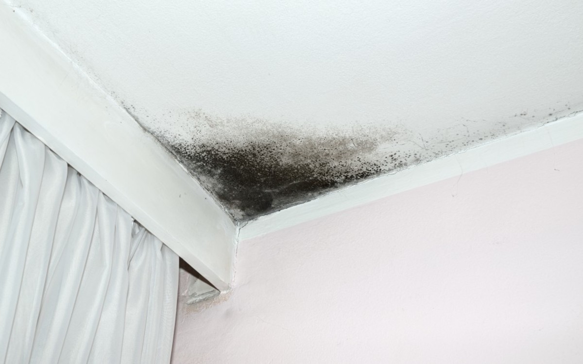 Sometimes, mold makes its presence known; other times, you won't be able to see it but can still suffer from side effects due to exposure.