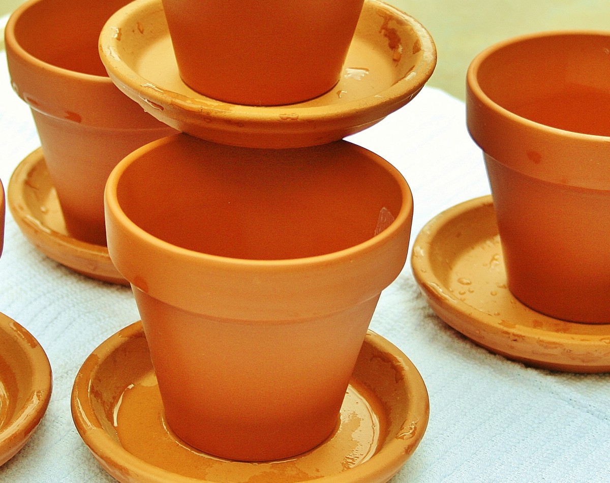 in-praise-of-clay-pots