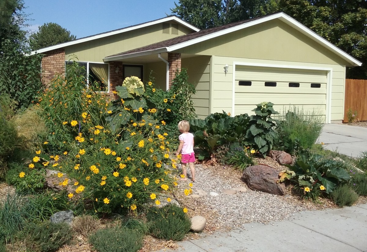 Starting a New Garden the Easier Way With Sheet Mulch