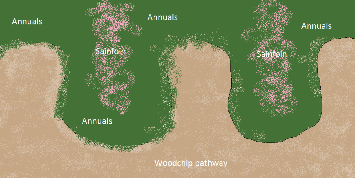 Keyhole gardens maximize accessible garden space.  Planting sainfoin, or other nitrogen fixing perennials in  the middle of each peninsula ensures continued fertility.  All plants are planted in woodchips with compost.  The path has no compost.