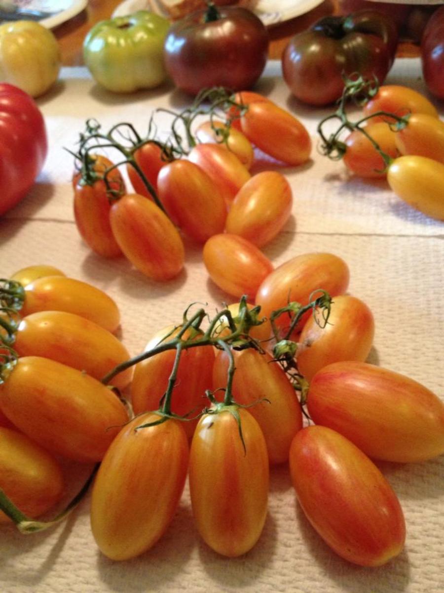 Cherry tomatoes from my brother's garden.