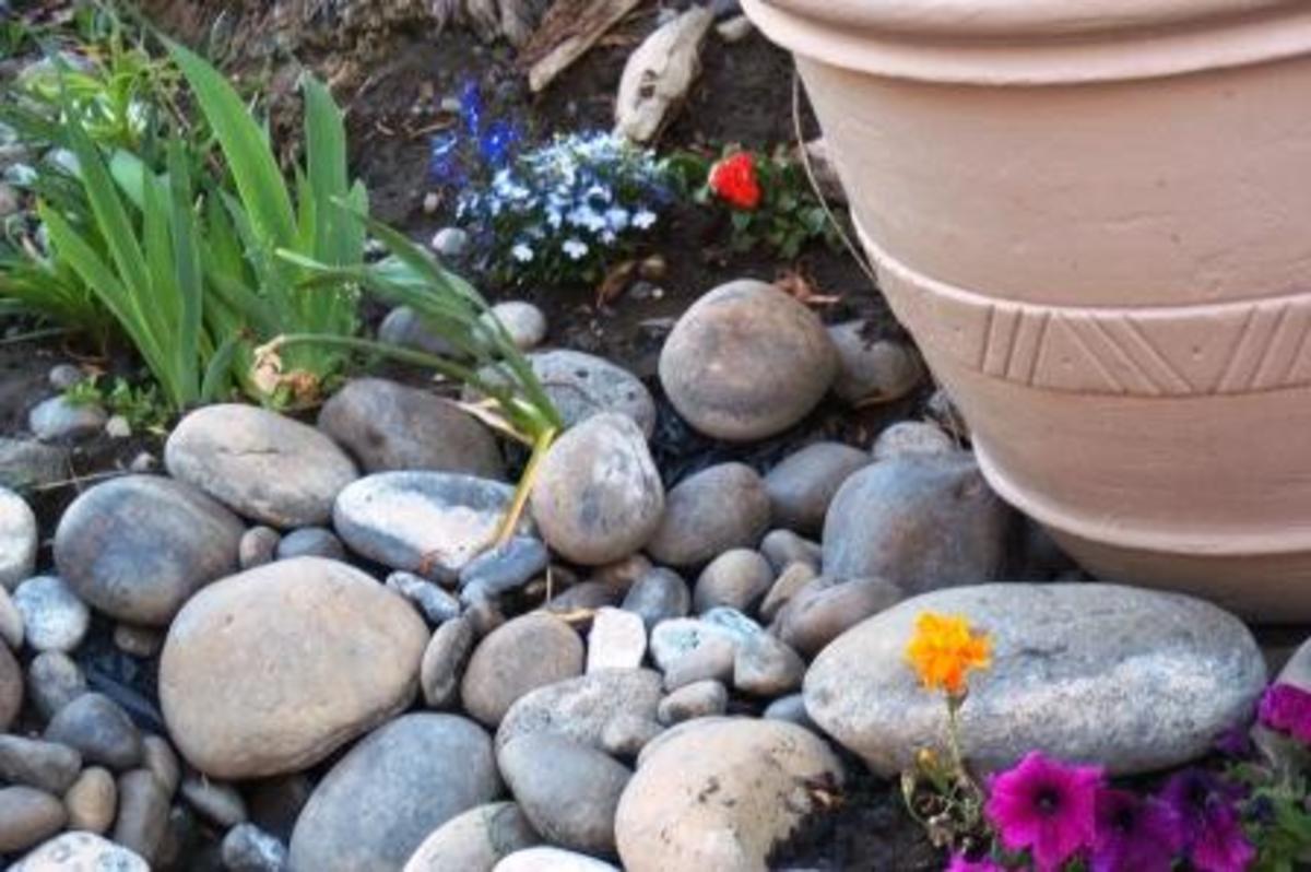 Landscaping with natural river bed rock. Plants shown are: Iris, Marigold, Petunia, Lobelia, and Geranium. This natural riverbed rock was taken from the ground on the property. The Moses Lake area was once under the Columbia river.