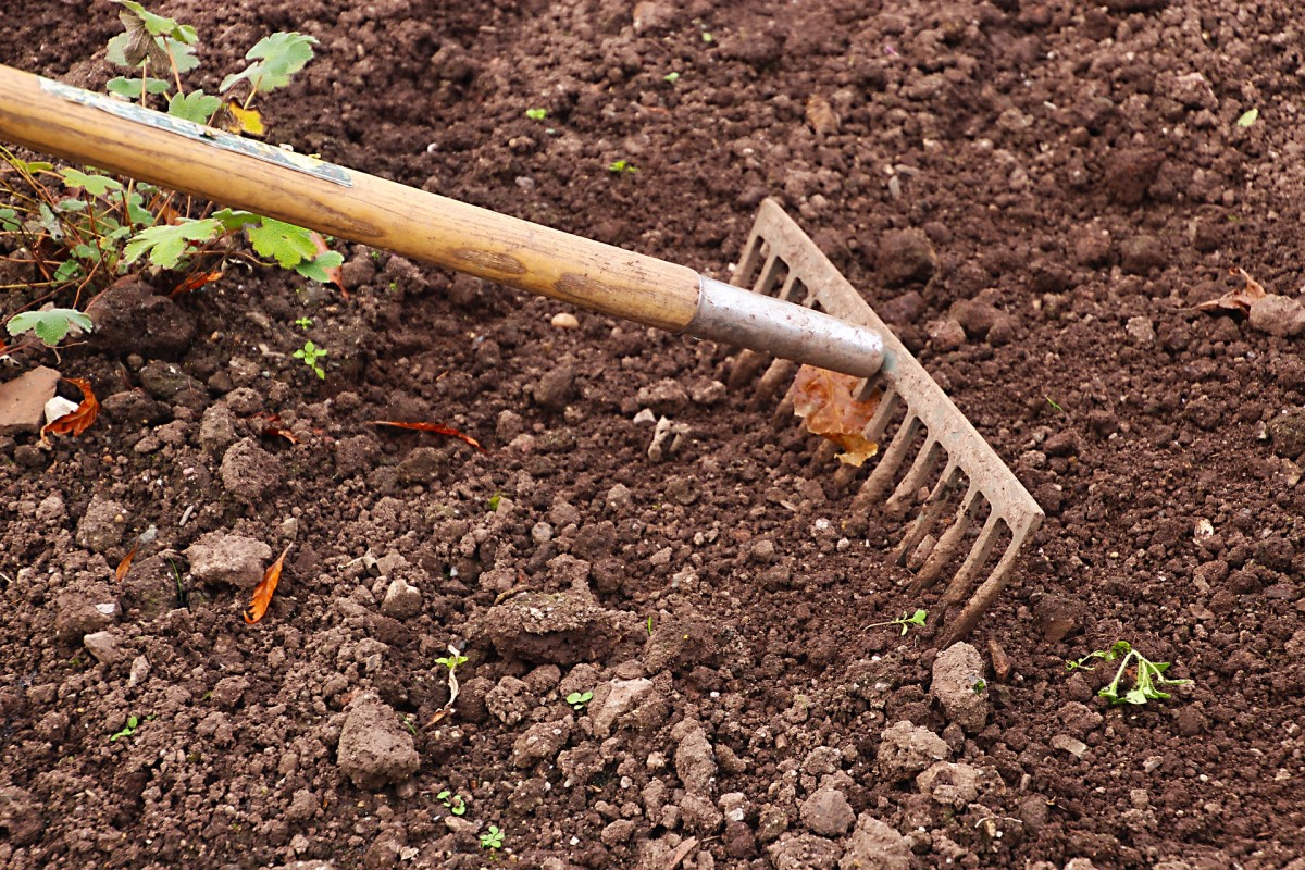 how-to-prepare-your-vegetable-plot-or-allotment-for-next-spring