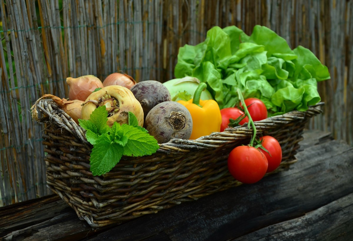 Healthy vegetables depend on proper watering care.
