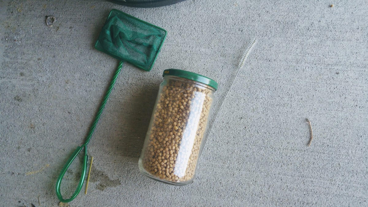 Examples of items you will need.  A fish net, fish food, and a small brush to clean the pump are just a few.