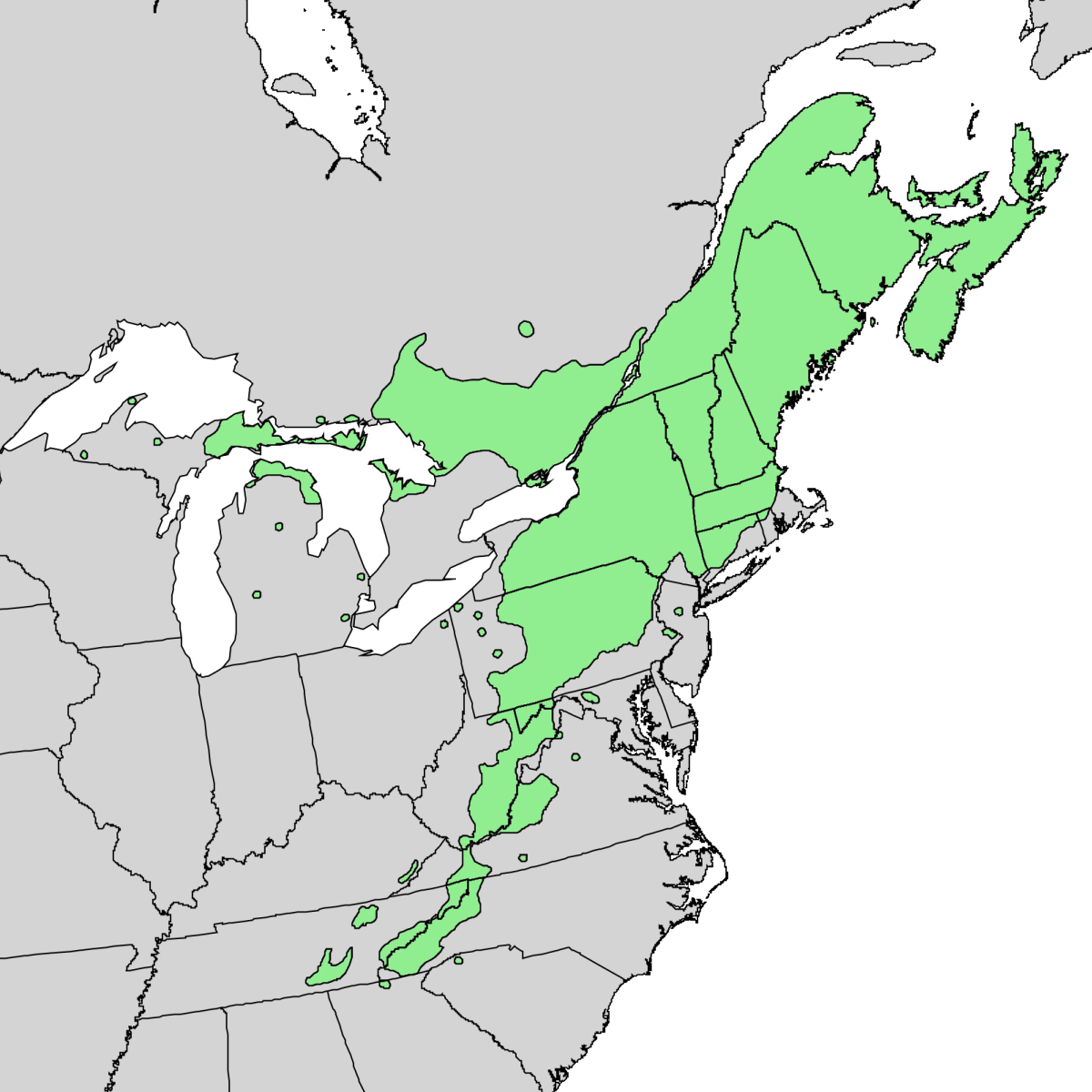 Striped Maple Growing Range By Elbert L. Little, Jr, USGS [Public domain], via Wikimedia Commons