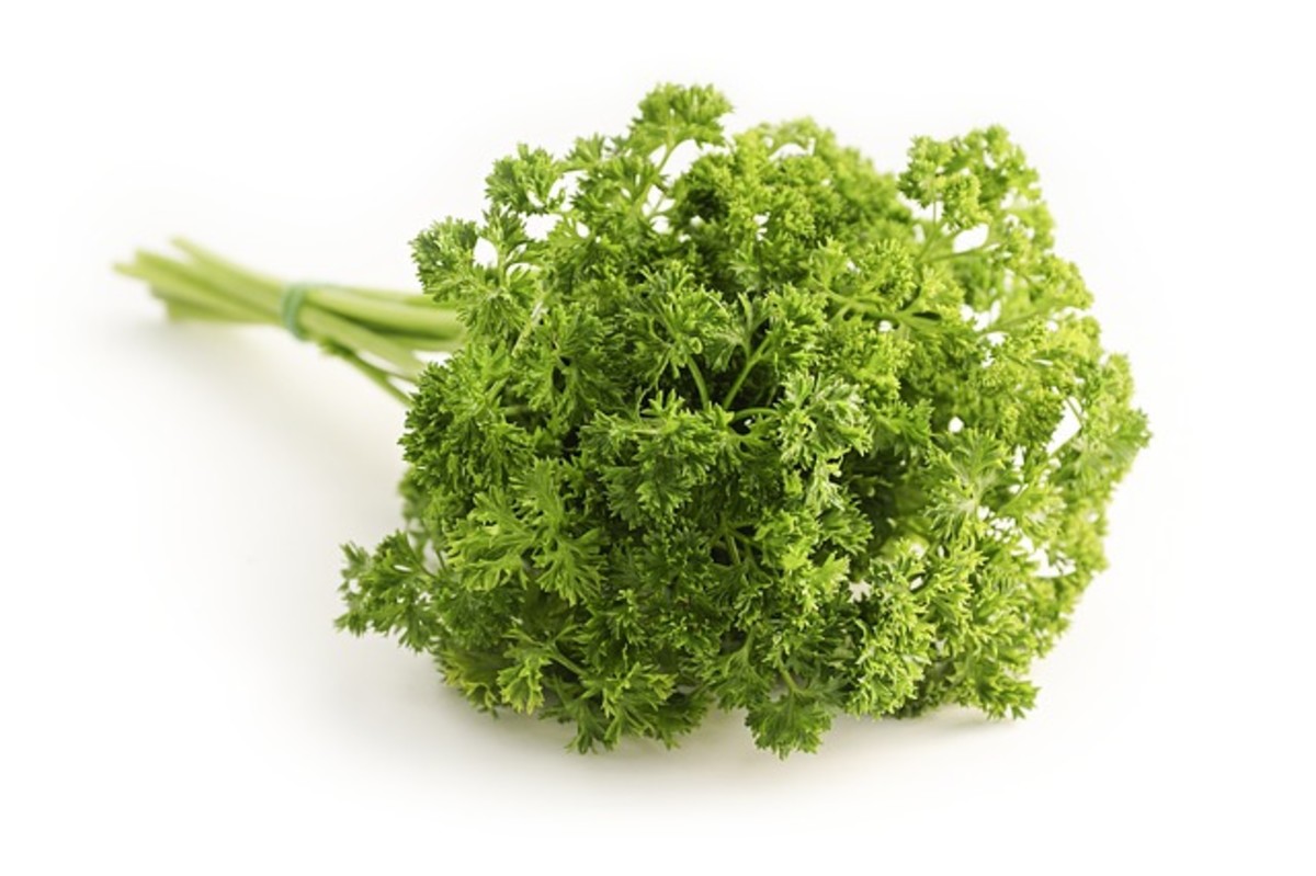 How to Store Parsley: 7 Secret Hacks to Keeping Parsley Fresh