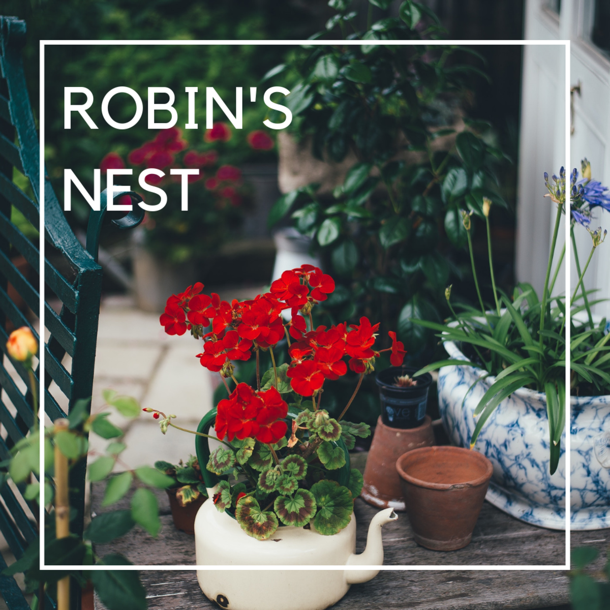 Robin's Nest
