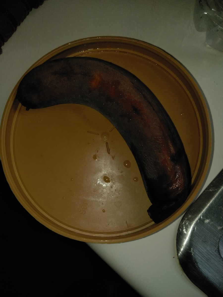 A frozen banana being thawed out to be fed to the worms.