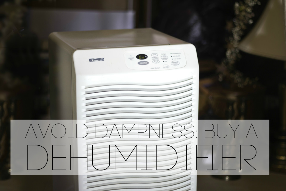 Dehumidifiers help to eliminate dampness.