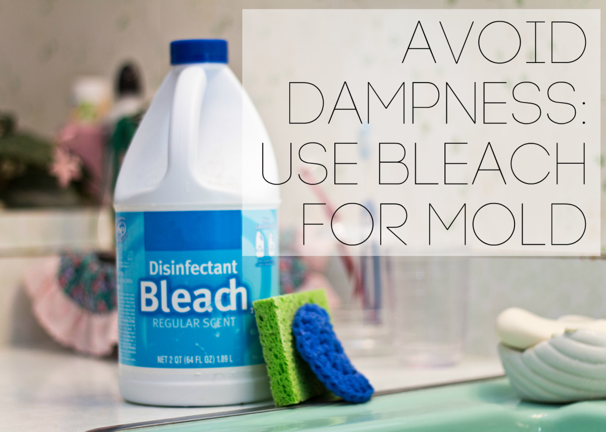 Watered-down bleach helps to eliminate mould discolouring.