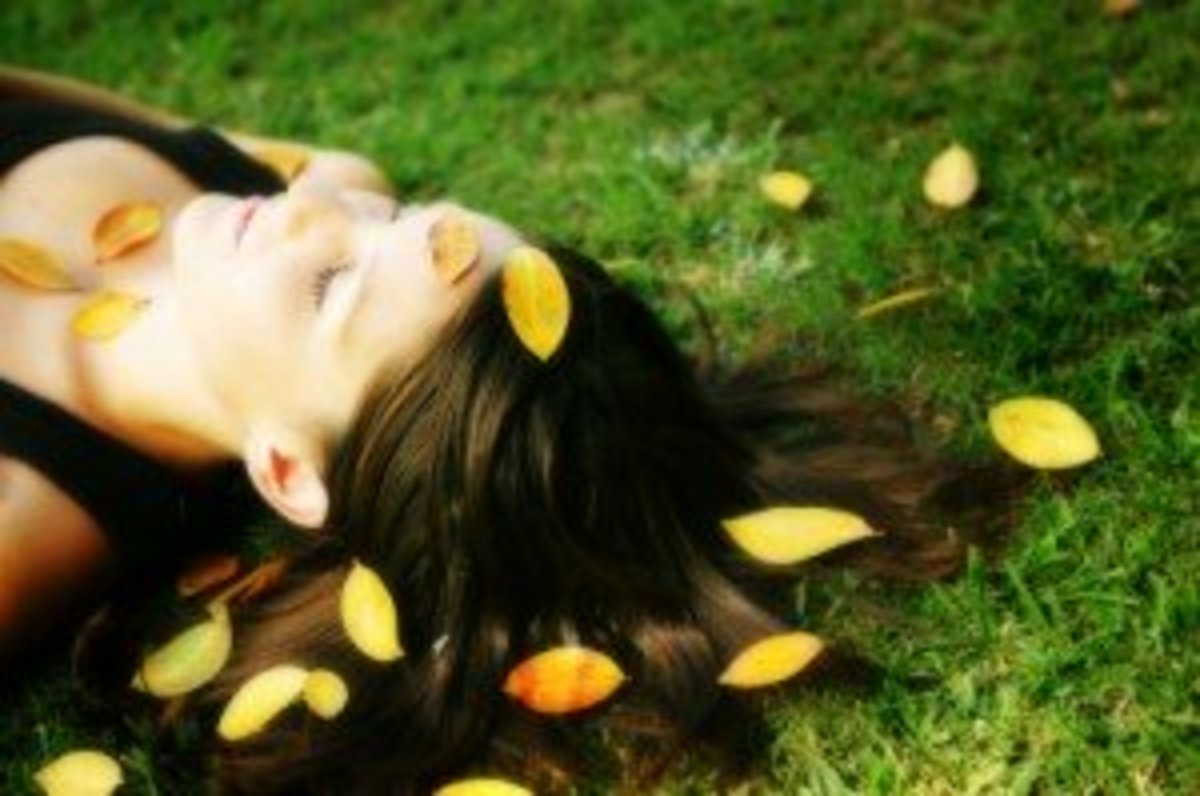 Do the Parabens in Your Lotions & Shampoos Cause Cancer? HubPages