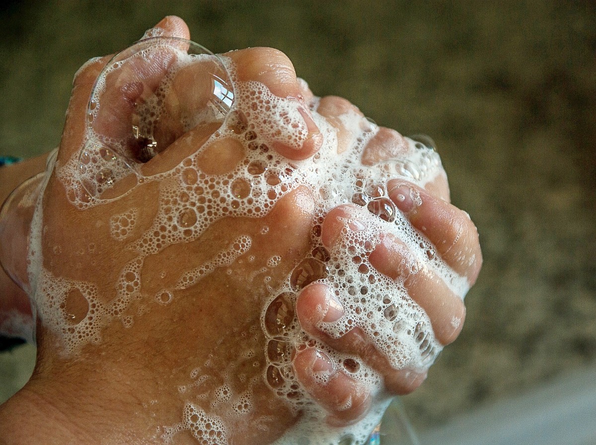 Washing the hands with soap removes many harmful bacteria.