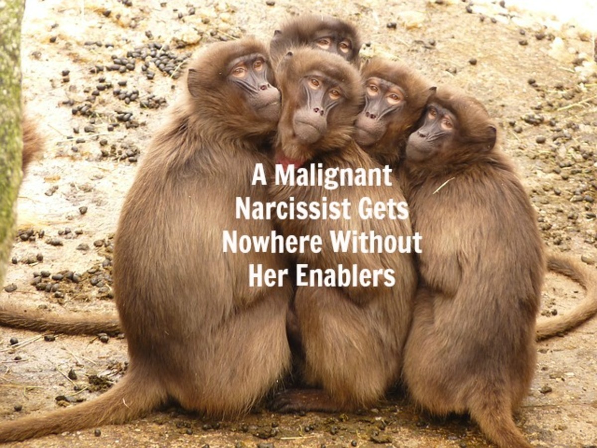 Enablers empower the narcissist.
