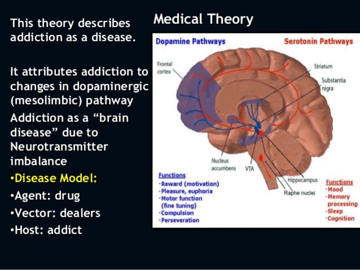 addiction-is-a-disease-of-choice-youmemindbody