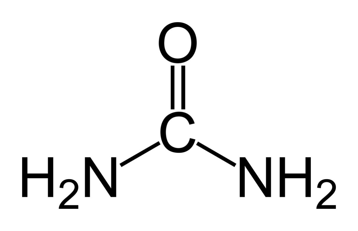 Urea containing a labeled carbon atom is used in the urea breath test for the presence of a stomach ulcer.