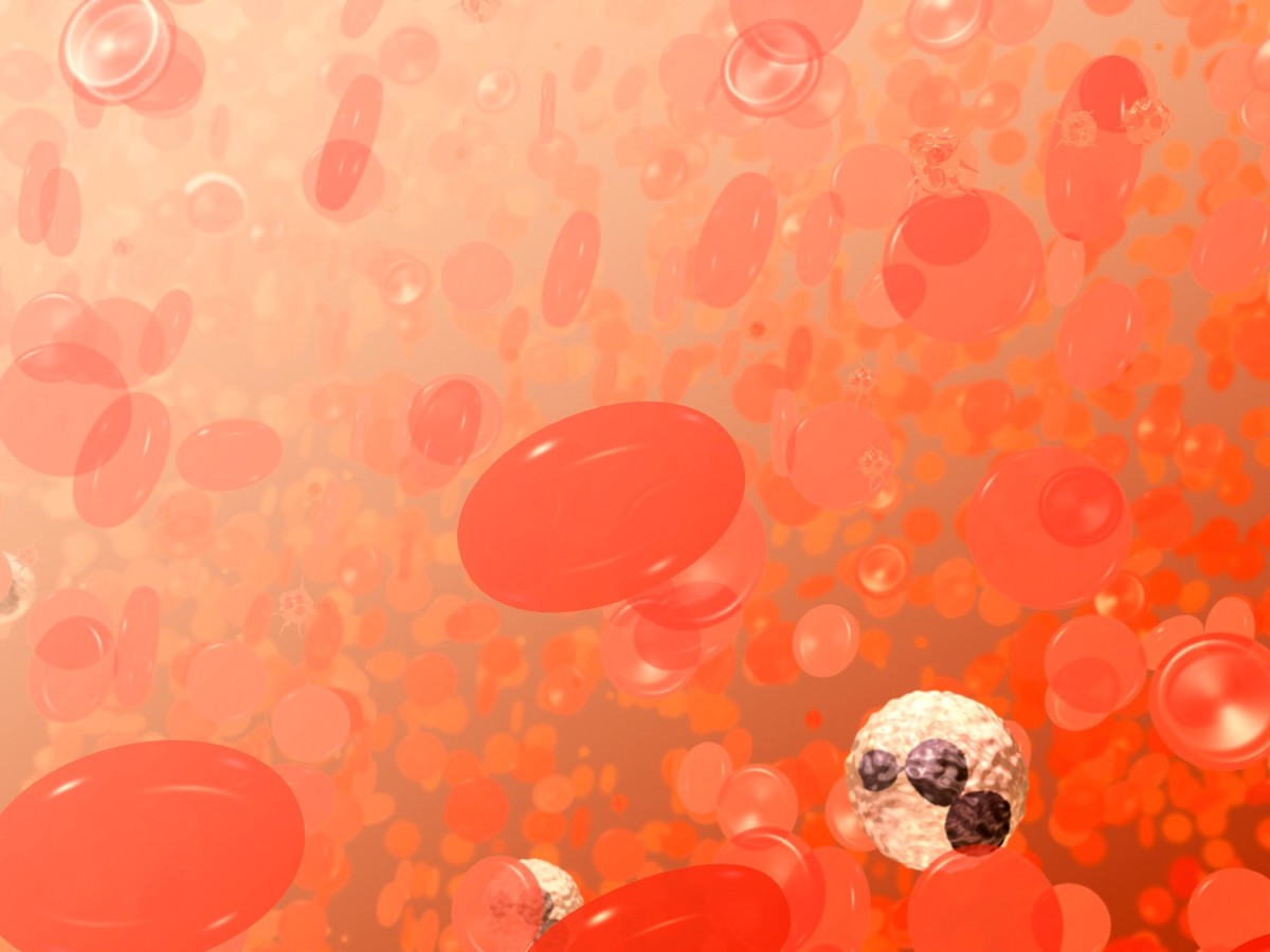 This illustration of blood shows red blood cells as well as some white blood cells and platelets. Red blood cells contain a red pigment called hemoglobin. The heme part of the molecule belongs to the porphyrin group.