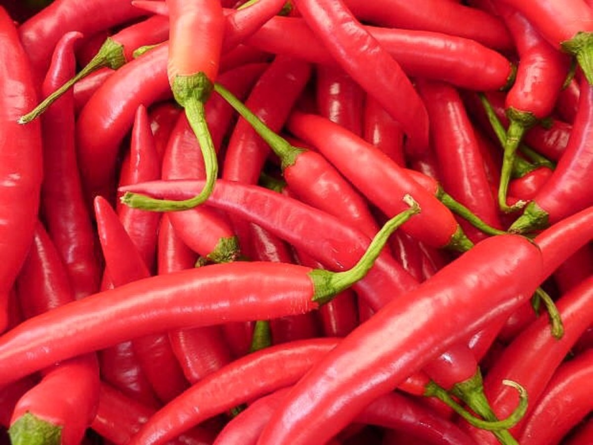 Hiccups Interesting Facts, Causes, Treatments, and Prevention YouMeMindBody