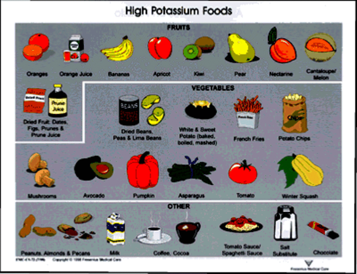 The Dialysis Diet What It Is Why It s Necessary HubPages