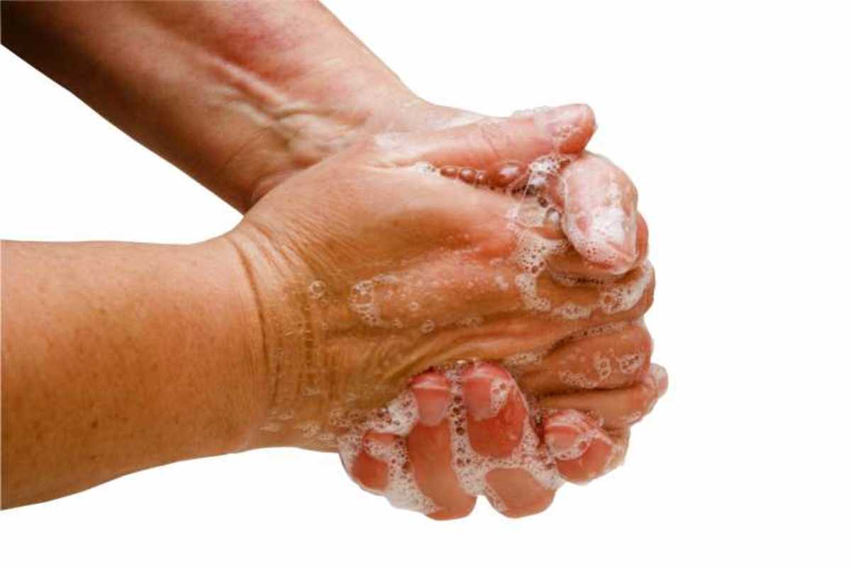 Hand hygiene and toilet hygiene may also help decrease the likelihood of transmission of pathogens.