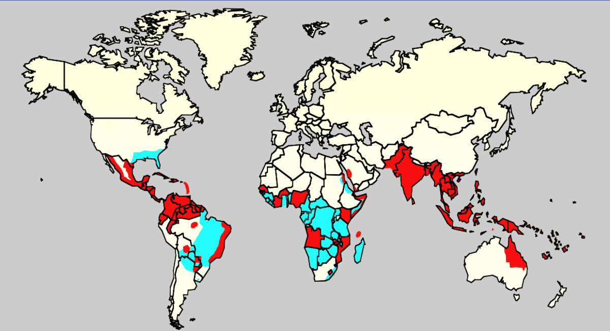 Areas of the world affected by dengue.