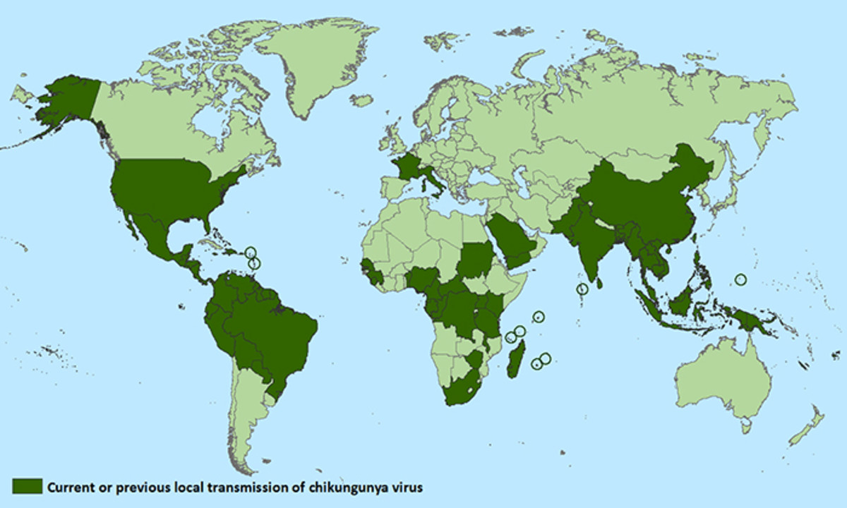 Countries where the chinkungaya virus has been detected