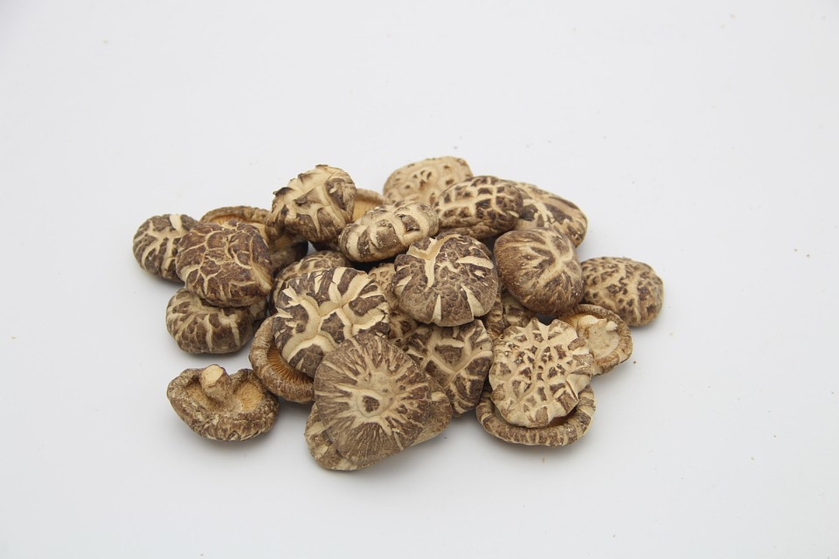 Shiitake mushrooms: health benefits and side effects