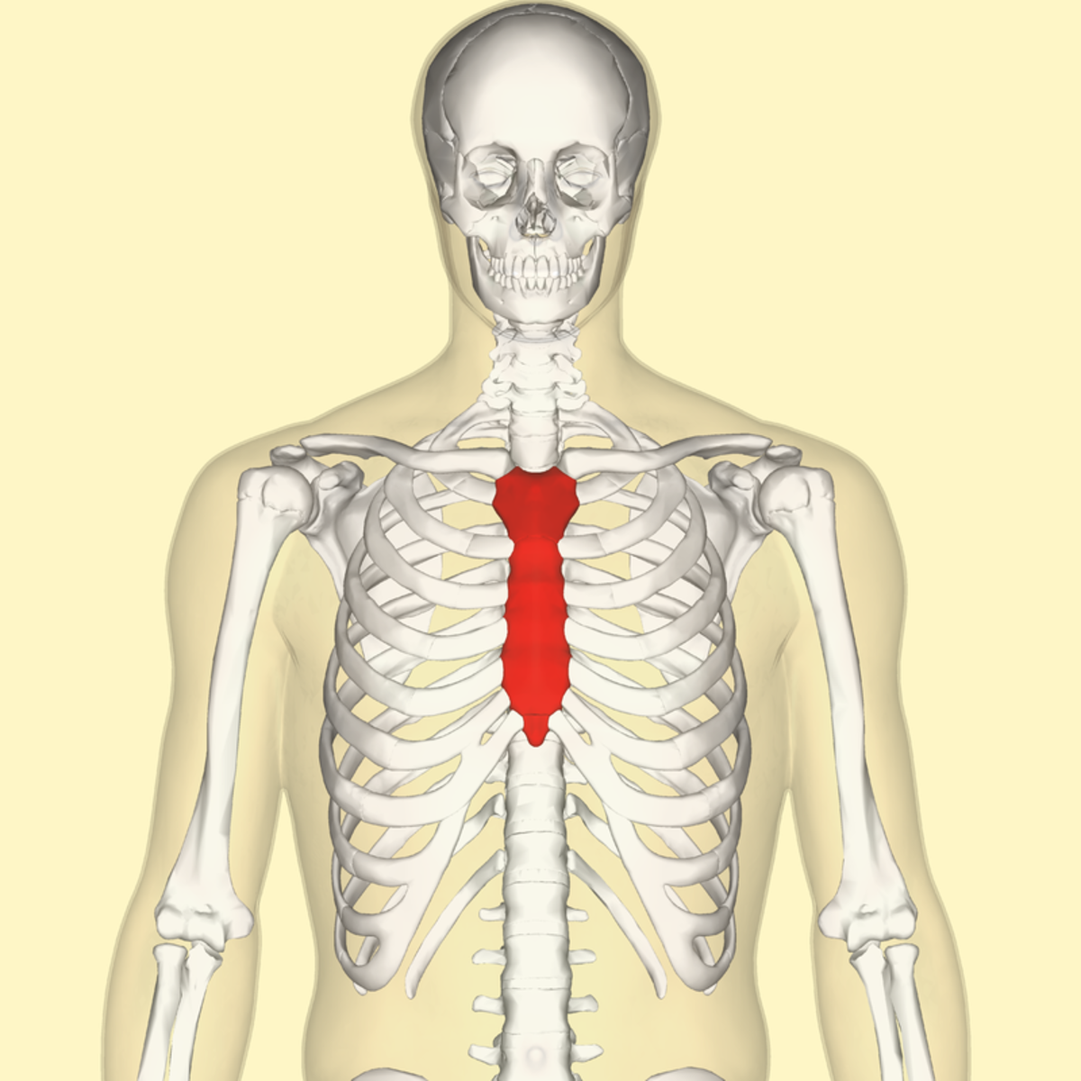 What causes the sternum to pop