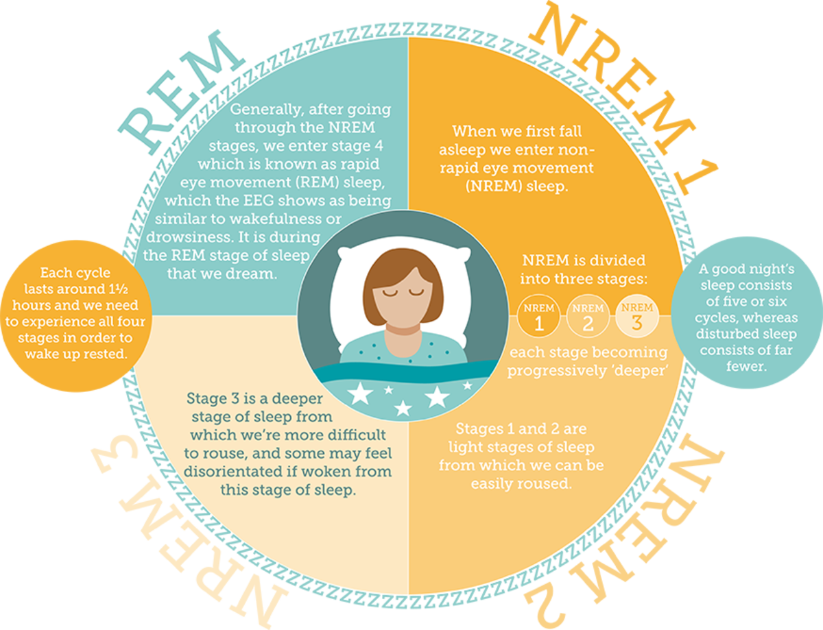 The sleep cycle can be broken down into two basic stages: NREM (Non-Rapid Eye Movement) and REM (Rapid Eye Movement).