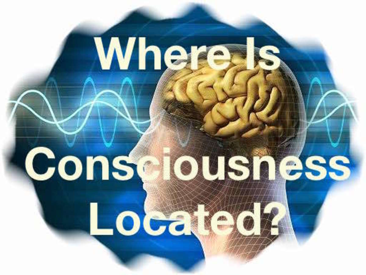 Where Is Our Consciousness Located Owlcation