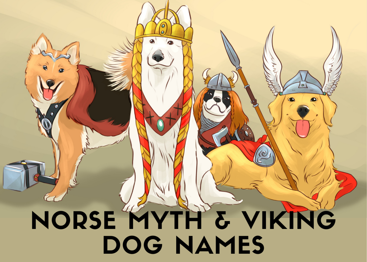 Norse Dog Names Discount Www aikicai