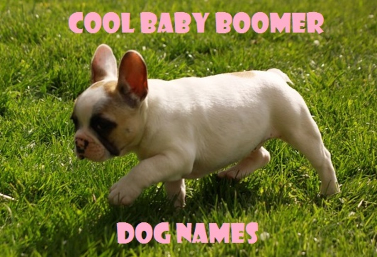 OK boomer, how about a few good names?
