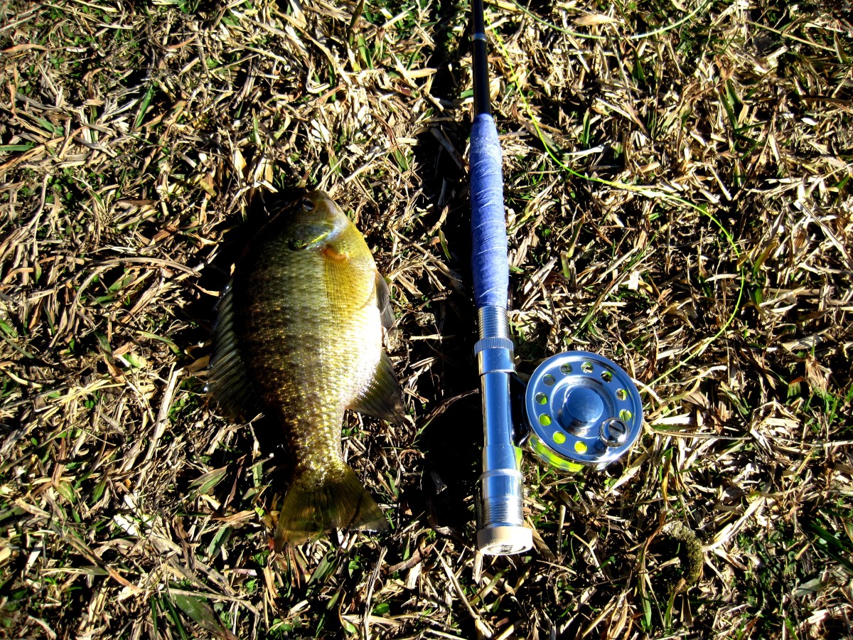 Modifying an Ultralight Rod for Micro Fishing