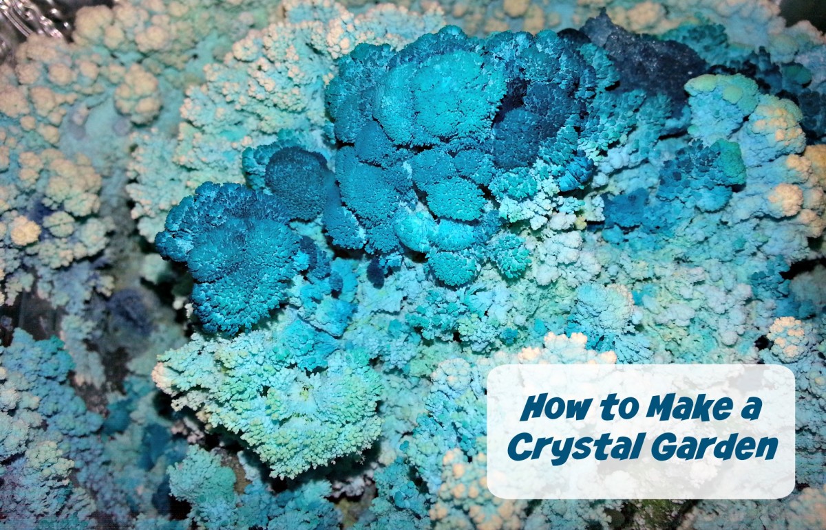 Easy instructions to make a salt crystal garden.