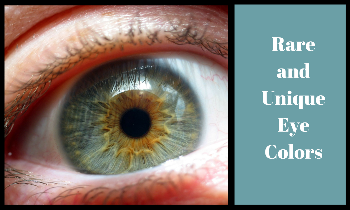 6 Rare And Unique Eye Colors Owlcation
