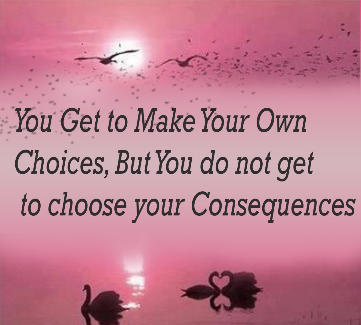 Choices Have Consequences You Get To Make Your Own Choices But You Do 