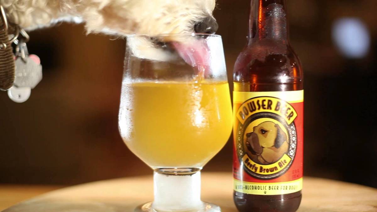 50 Dog Names For Beer Lovers Pethelpful By Fellow Animal Lovers And Experts