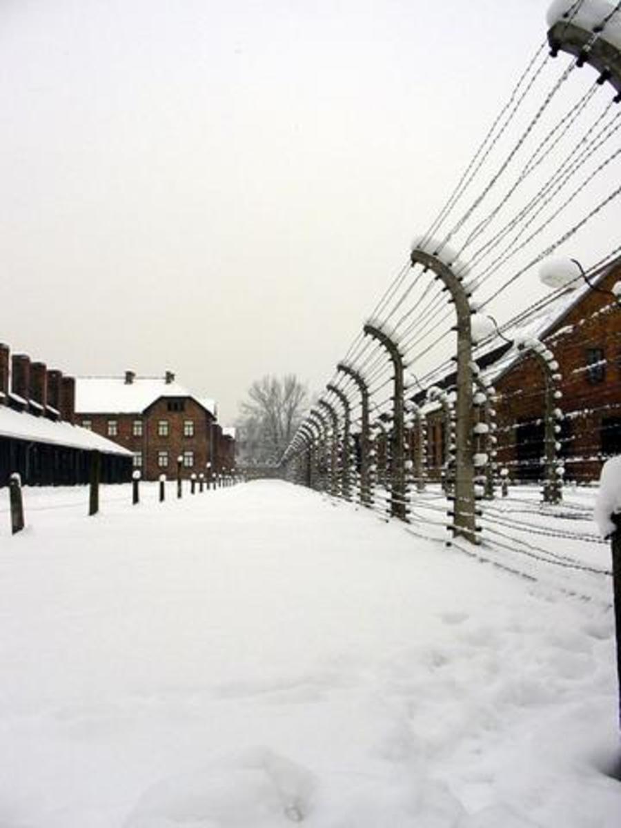Auschwitz Society