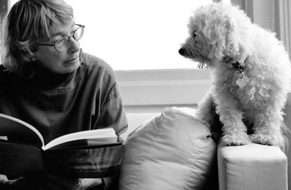 Mary Oliver's "Reckless Poem"