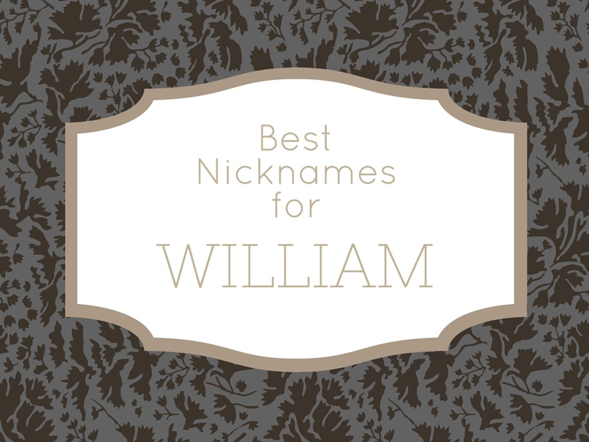 Best nicknames for someone named William.