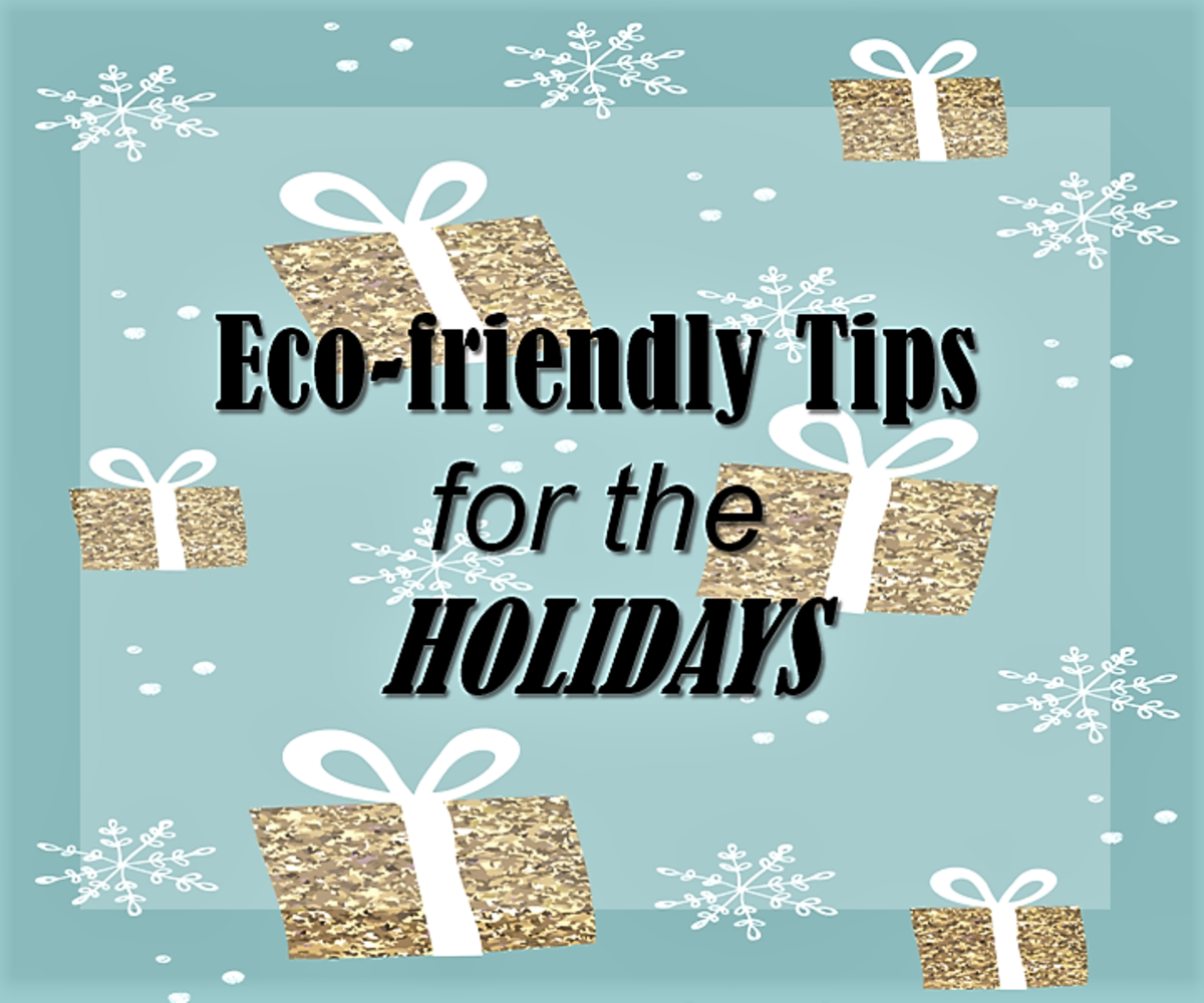 10 Eco-Friendly Tips for the Holidays