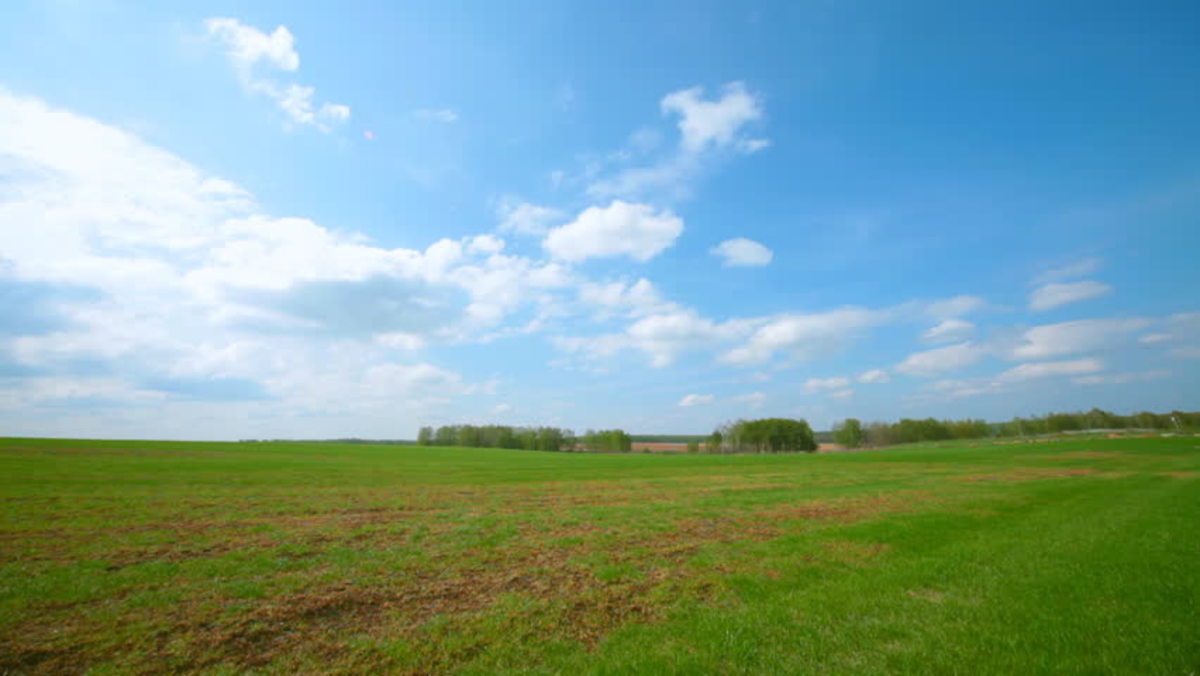 A farm landscape