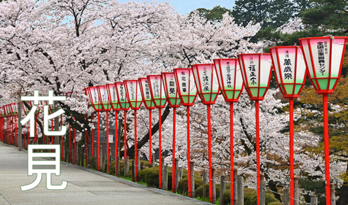 A quick guide to enjoying Sakura viewing in Japan.