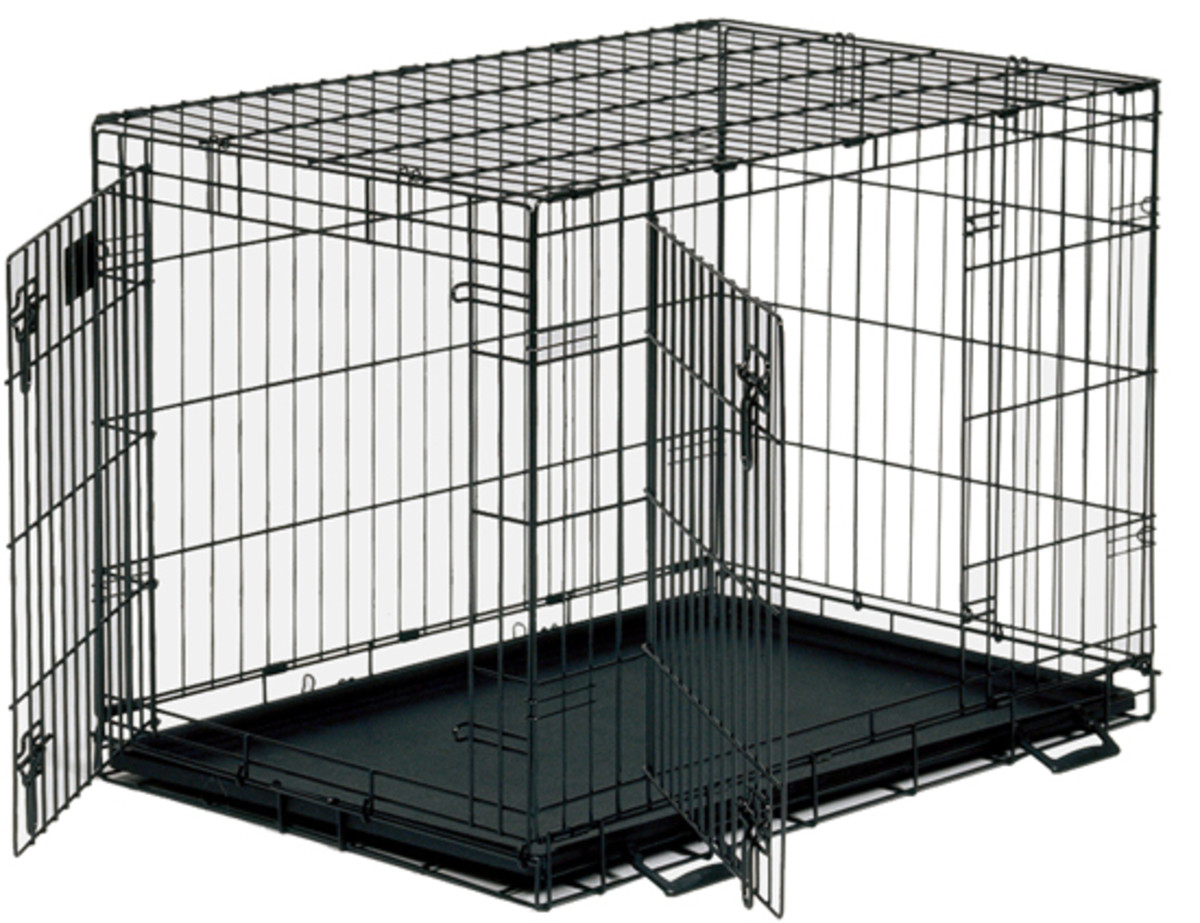 A Basic Wire Dog Crate