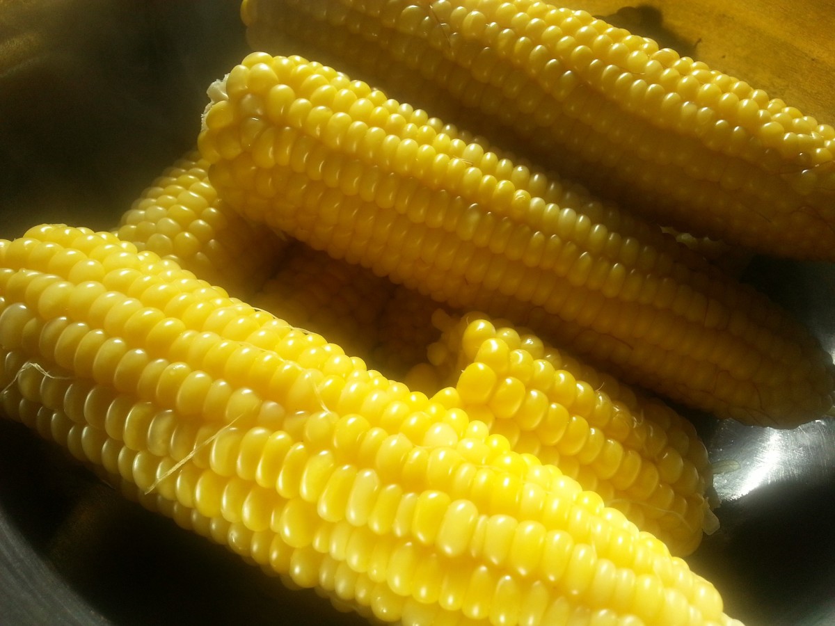 Exploring Sweet Corn The Number 20 Grain in the World   Delishably