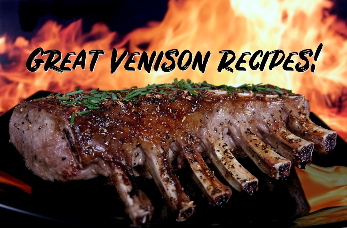 Here are my best venison recipe ideas! 