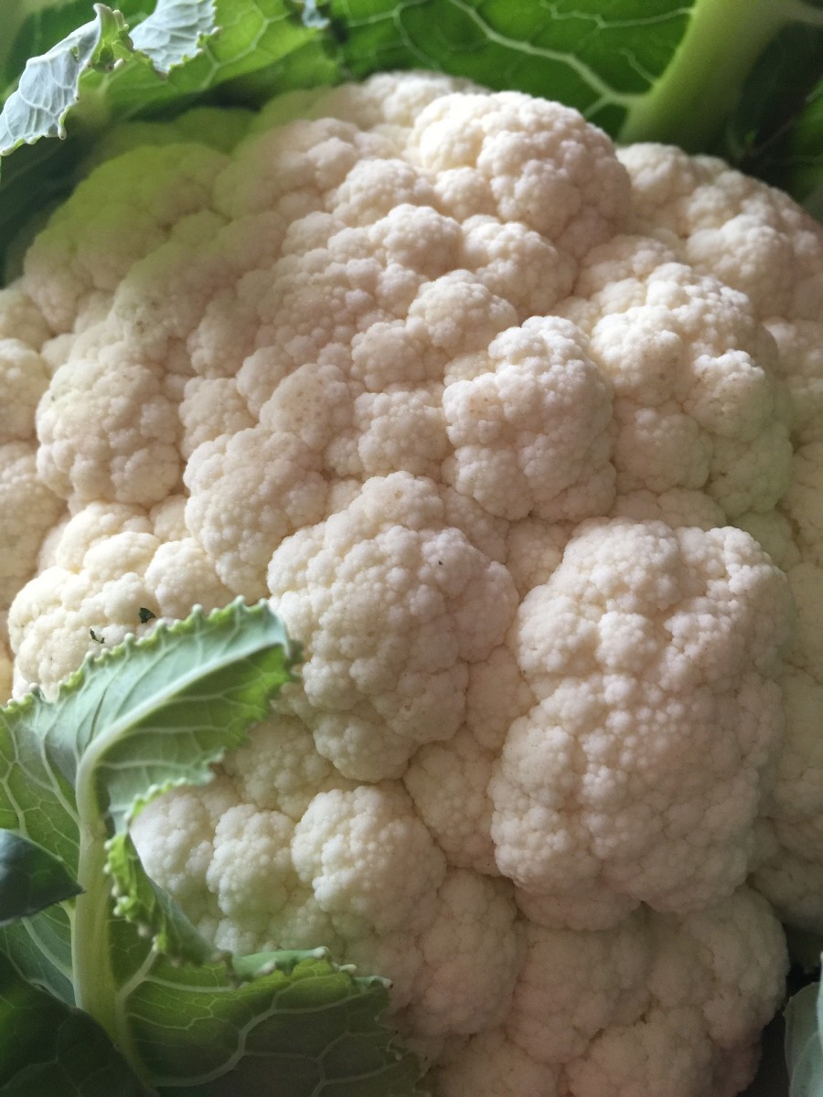 exploring-cauliflower-your-childhood-nightmare-is-now-a-superstar